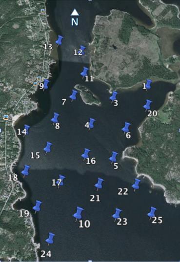 12 Figur 7. Nätverk av 25 hydrofoner (grid) inom vilket utsläppt lax kunde positioneras. Medelavståndet mellan hydrofonerna var 350 m. Bild: Google-earth.