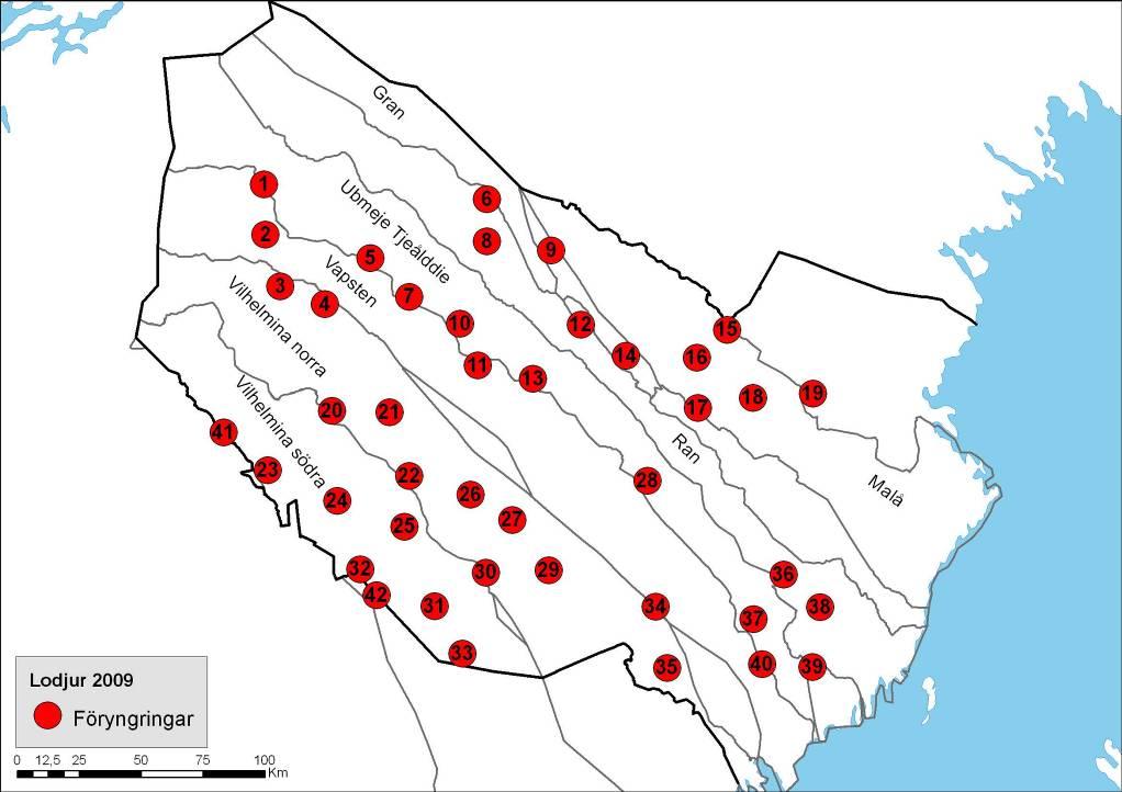 7 Figur 6. Resultat av lodjursinventeringen i s län 2009. Punkterna visar grupperingar av spårade föryngringar. Siffrorna indikerar de olika familjegrupperna (jfr. bilaga 1).