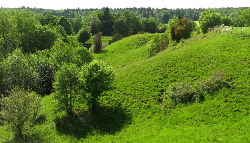 blomrik och som visar hur det kanske såg ut i landskapet