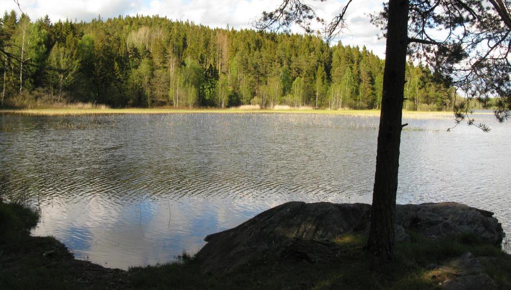 Lokal 8. Härsjön och utloppet till Gärån En stig leder från Grusvägen till Härsjön och dess utlopp i Gärån.