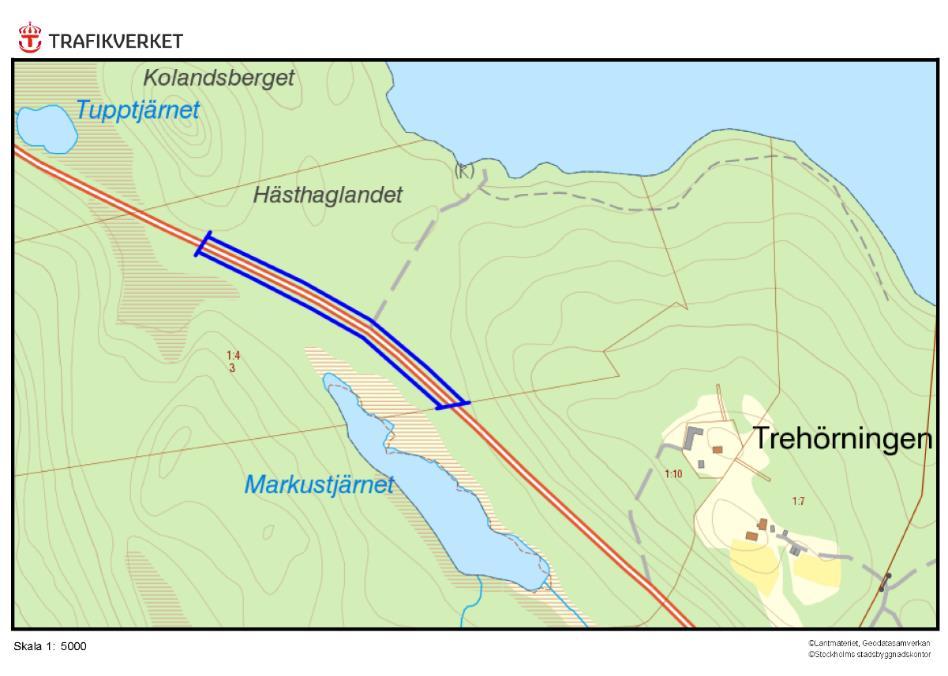 877, Trehörningen, TREHÖRNINGEN Motivering: Vägkant med myrmarkskaraktär samt slåttergynnade flora och fjärilar.