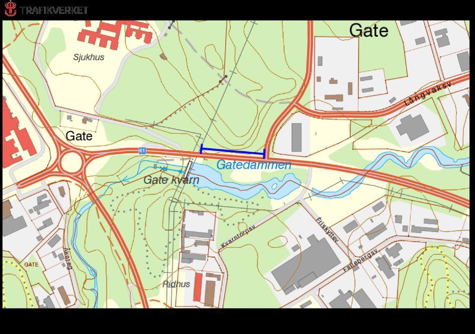 Hänsynsobjekt Objektförteckning Hänsynsobjekt Rv 61, Gate, GATE Motivering: Torrbacke med mycket gråfibbla samt förekomst av höskallra och bockrot.