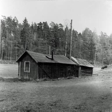 Hon hade inte en rotborste ens utan fick gnugga tvätten med händerna och så hade hon visst en gammal visp i stället för borste.