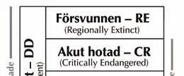 1 Allmänt om fladdermöss 1.1 Fladdermöss i Sverige I Sverige har totalt 18 arter av fladdermöss påträffats (tabell 1).