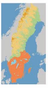 5.6 Gråskimlig fladdermus (Vespertilio murinus) Den gråskimliga fladdermusen är sparsam till tämligen vanlig i södra Sverige.