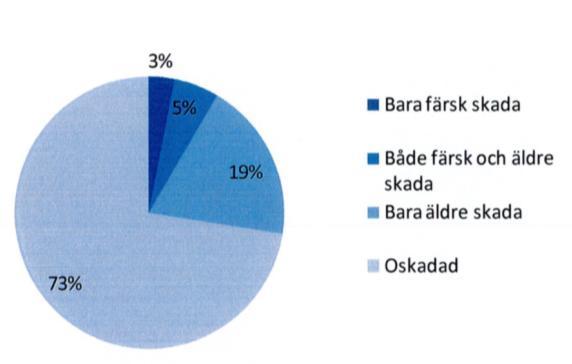 Vi ska också göra en attitydundersökning i samarbete med Future Forest om hur man i det här området ser på skador och