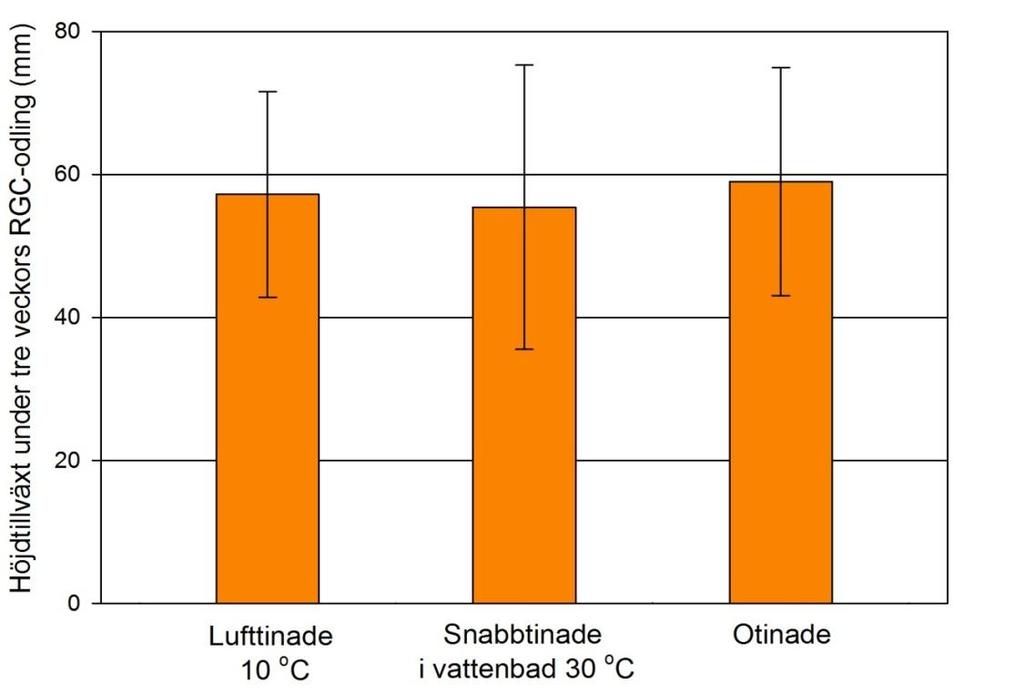 Rot- och skottillväxt hos tallplantor efter 3-veckors RGC- test.