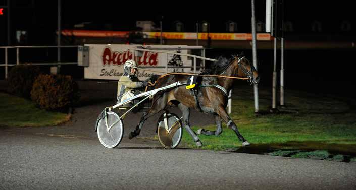 NYHETER 131022 Don Clerk fick revansch I debuten galopperade Don Clerk bort en trolig seger. Igår fick han revansch när han sprutade hem första loppet på Färjestad.