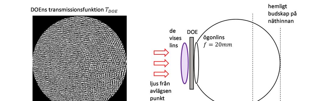 2. Amplitudmodulerande DOE En amplitudmodulerande DOE är designad på samma sätt som i HUPP1 för att ge hemligt budskap på näthinnan när de vises lins, med en styrka av 6 dioptrier, sätts in, som i