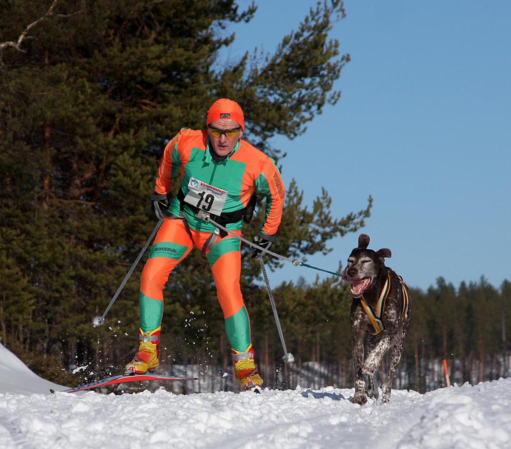 Sträckorna varierar mellan 6-25 km och dagsetapperna går mellan Ammarnäs - Sorsele - Björksele - Hällnäs - Vännäsby. Det är folkfest och fullt drag längs Vindelälven under tävlingsdagarna!