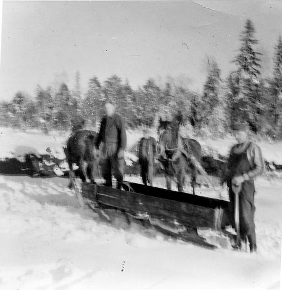 Torvströupptagning (torv) på