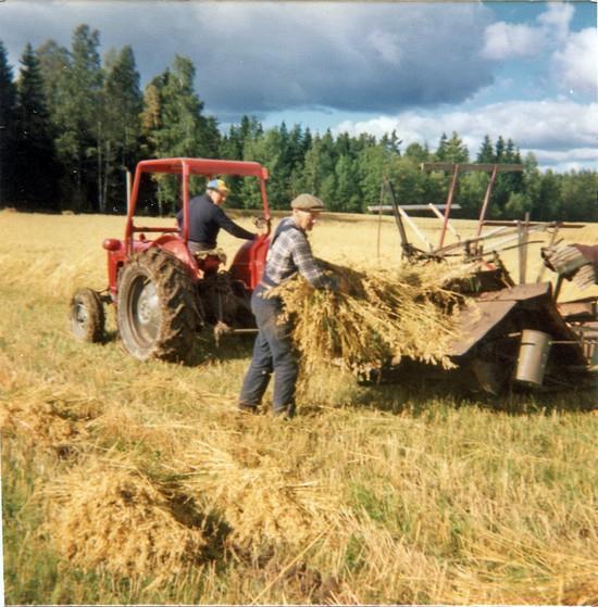 Havreskördande på gården Kopperud nr 10, Torpet.