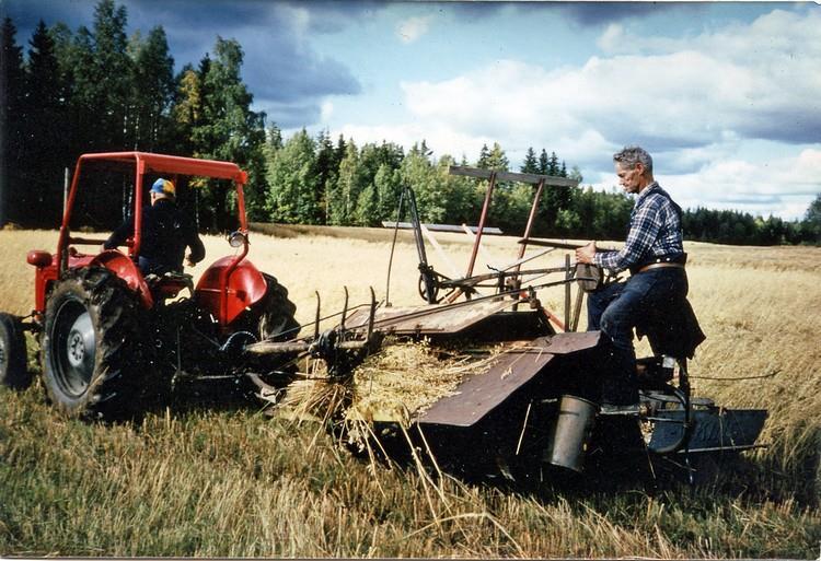 Havreskördande 1979 på gården Kopperud nr 10, Torpet.