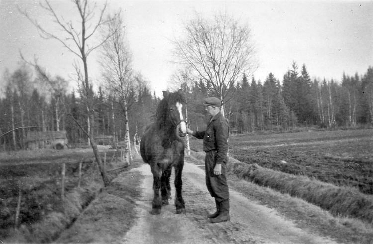 Bror Erlandsson, Kopperud nr 10, Torpet, med hästen