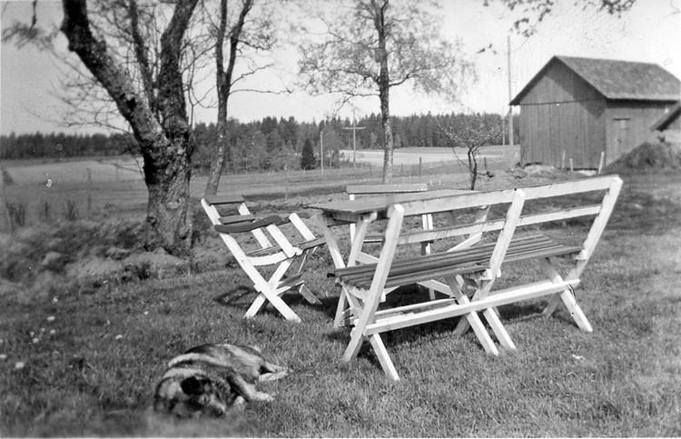 Trädgårdsmöbler och sovande hund på