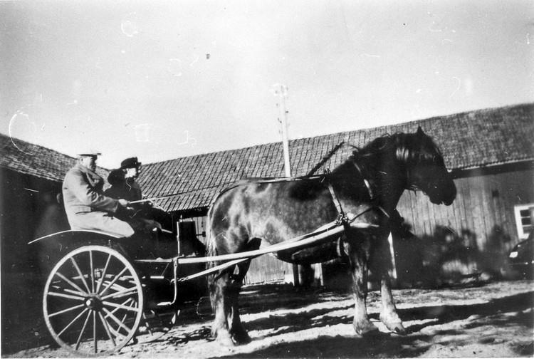 Hästskjuts "Tidaholmskärra" Axel o Anna Larsson, Finsbo. Gunnar Hallsten sitter i mitten.