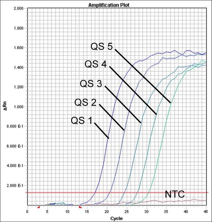 Fig. 27: Detektion av Kvantifieringsstandarderna (Parvo B19 RG/TM QS 1-5) genom detektion av en