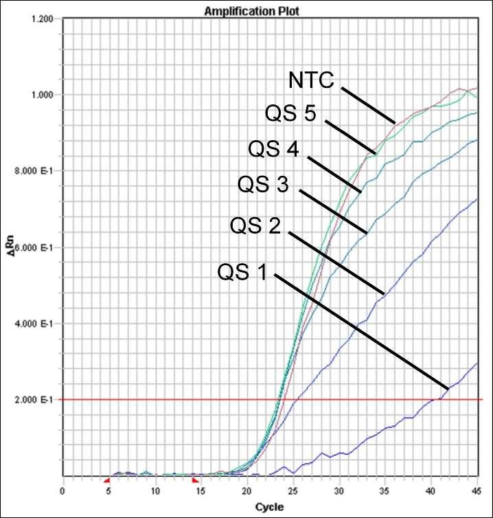 28: Detektion av Internkontrollen (IC) genom detektion av en VICfluorescenssignal (ABI PRISM 7900HT SDS) med