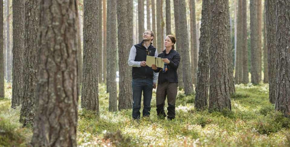 SCA Skog Behov av