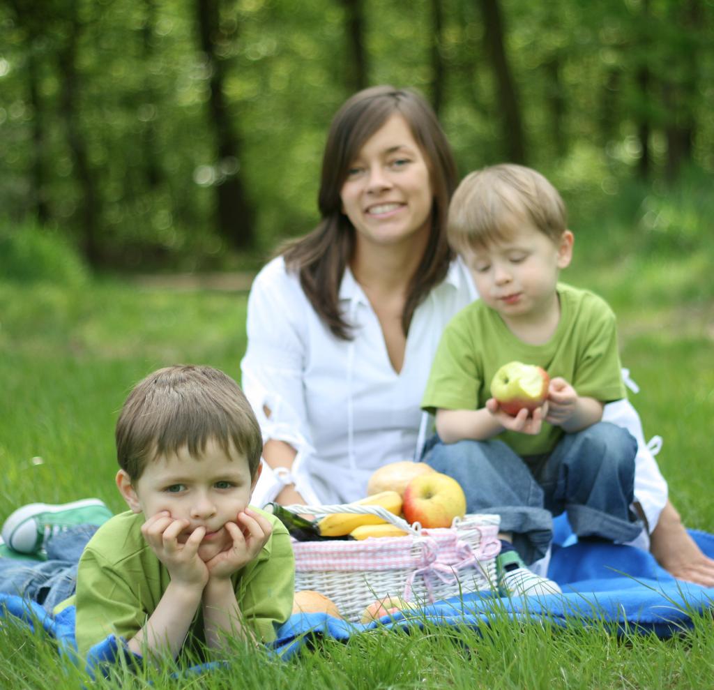 Se & göra Barndop. Foto: Shutterstock Picknick i det gröna. Foto: Shutterstock Sevärdheter Fornminnen Fornwij Gravfält från yngre järnåldern som troligen tillhört byn Wij.