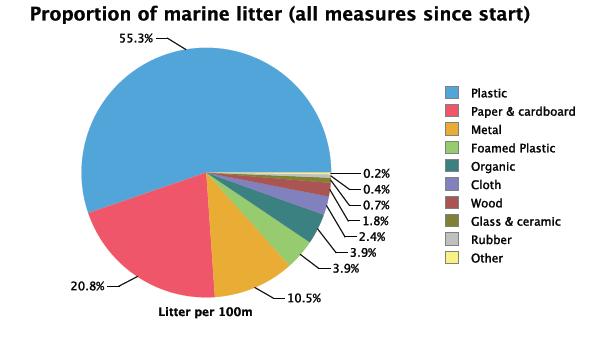 Plastens andel av skräpet Av allt skräp som hittades på stranden var 55,3 % plast.