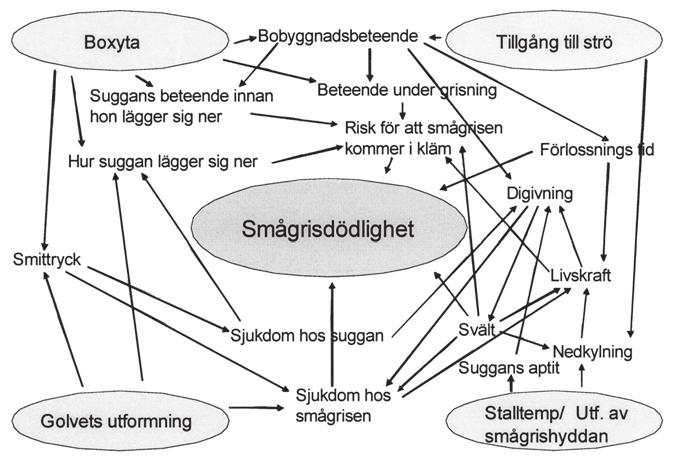 Figur 2. Olika miljöfaktorers inverkan på smågrisdödligheten.