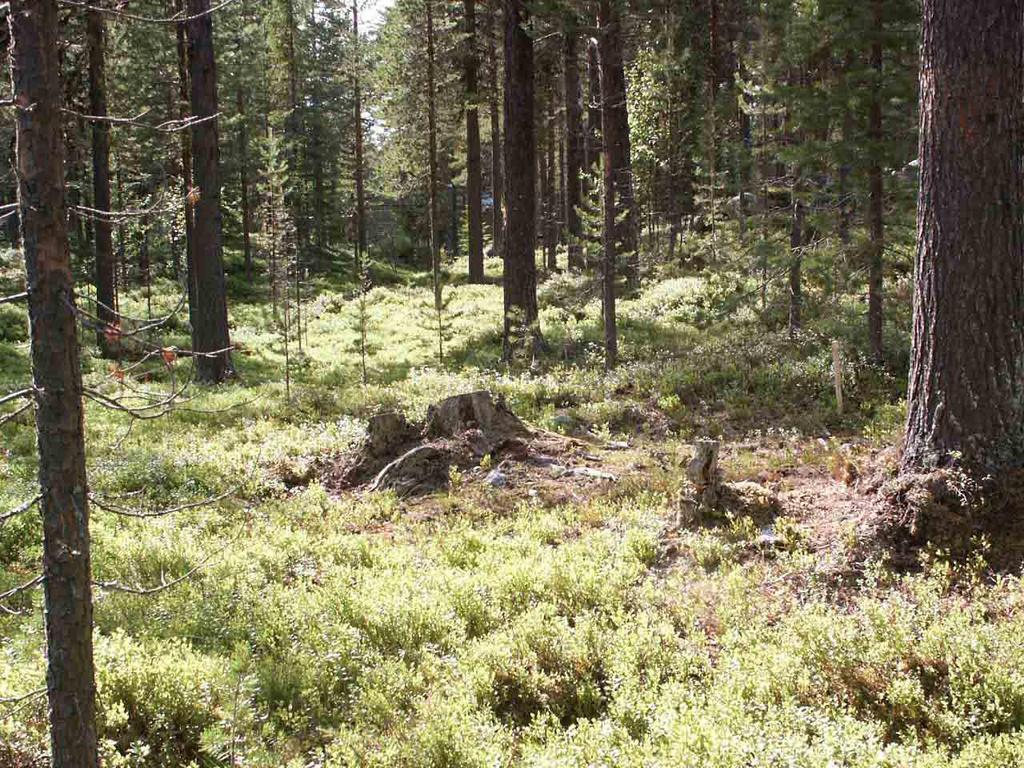 16 Bilaga 3. Utredning av Sveriges Lantbruksuniversitet leder fel på grund av bristande vetenskapliga metodik. Mats Hagner 2012-12-03 Foto 1.