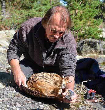 BERGUV Foto: Gunnar Hjertstrand Övergivna revir från 2006 Här har jag inte tagit med revir som har funnits något enstaka år och/eller har försvunnit före 2005.