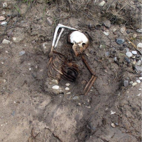 Skelettet är påträffat på den södra stranden av Gotska Sandön, vid en plats som benämns Skogsudden; en del av Höga land.