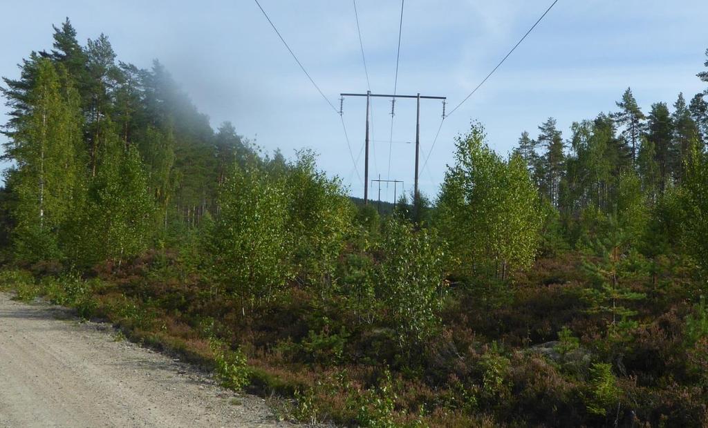 4 TEKNIK 4.1 Befintlig ledning Ledningen L78S1 från Grycksbo till Stångtjärn är ca 7 km lång.