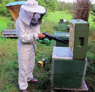 Skattning av honung Fara Lagstiftningens krav Branschens rekommendationer Förorening av jordbakterier och/eller jordpartiklar om ramarna kommer i kontakt med marken.