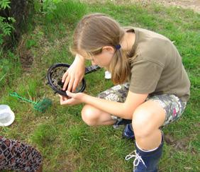 Följ med på vandring genom Sandemars blommande lundar och strandängar tillsammans med biolog Kristin Lundvall från Storstockholms naturguider.