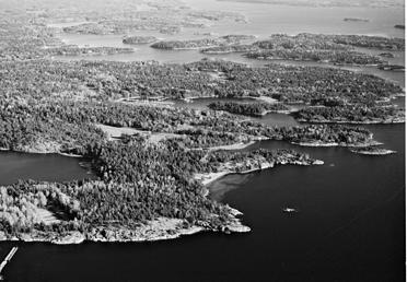 bakgrundsvariabler som kön, ålder och födelseland med avseende på olika frågeställningar i enkäten.