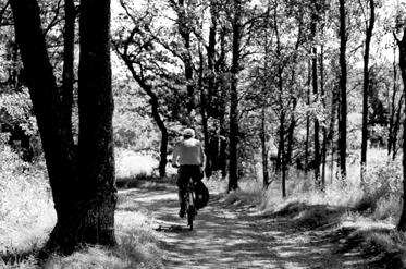 Många går eller cyklar till sitt favoritreservat om man har tillräckligt nära. Järvafältets naturreservat. Foto: Magnus Sannebro.