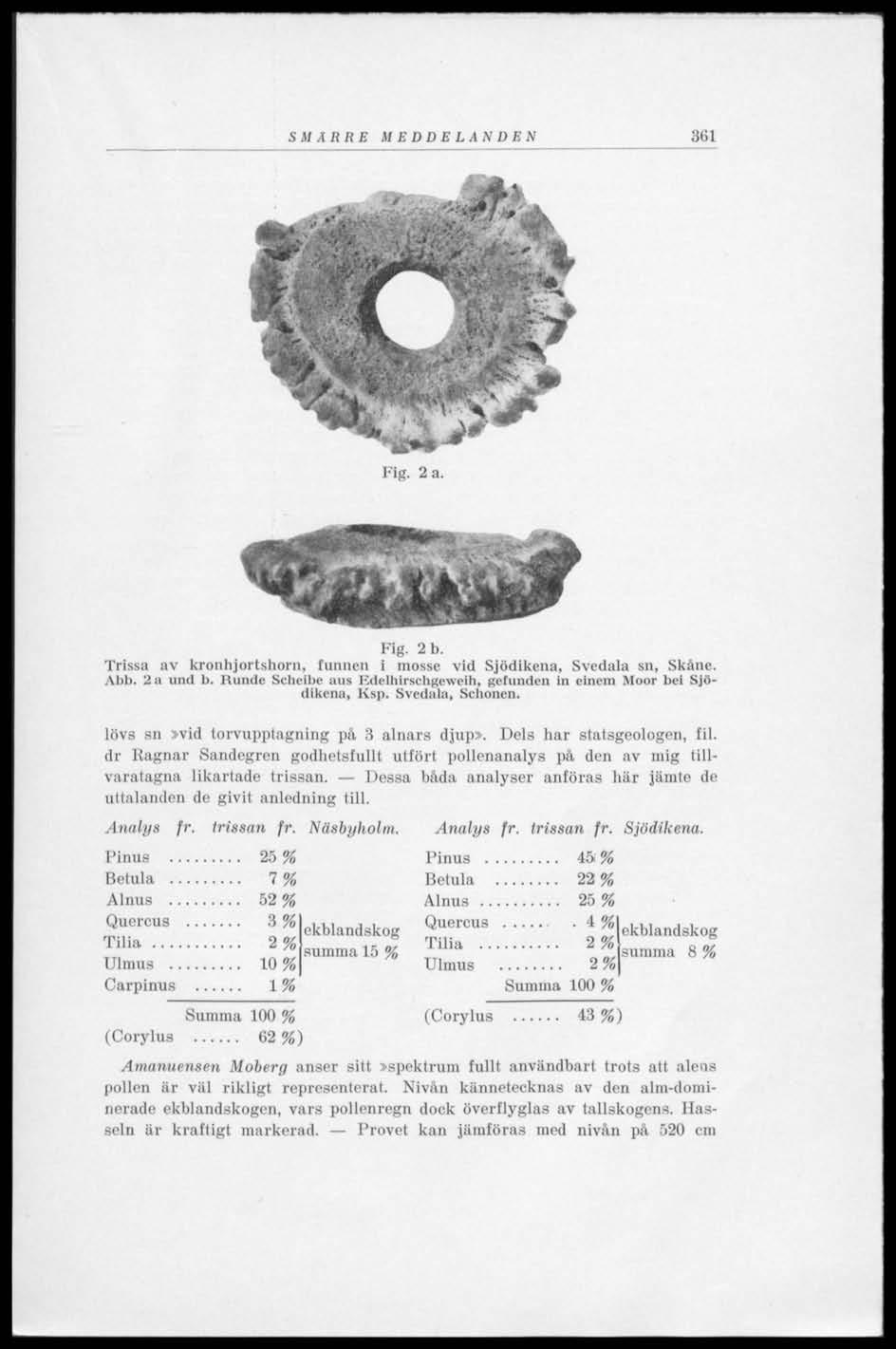 SMÄRRE MEDDELANDEN 361 Fig. 2 a. Fig. 2 b. Trissa av kronhjortshorn, funnen i mosse vid Sjödikena, Svedala sn, Skåne. Abb. 2a und b.