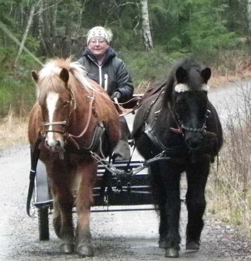 Sedan på kvällen när skaren blivit hårdare tog Sonia fram släden och körde på den under månens glans.