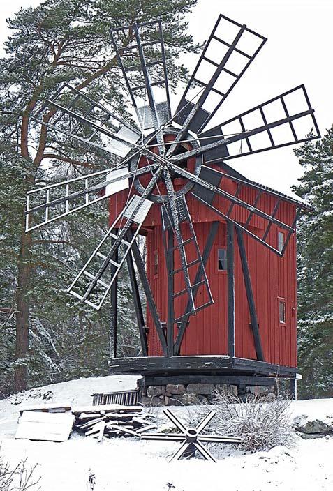 björnskådning