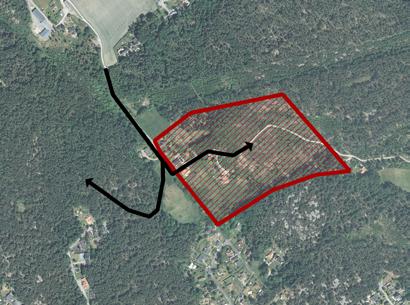 trädgårdsstad med skogen som tydligt inslag bostäder i grönska.