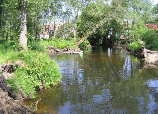 Sträcka 4. Mölndalsån Beskrivning biotop Sträckan avgränsas mot föregående där närmiljön på vänster sida ändras från lövskog till tomtmark. Skredärr längs hela sträckan.