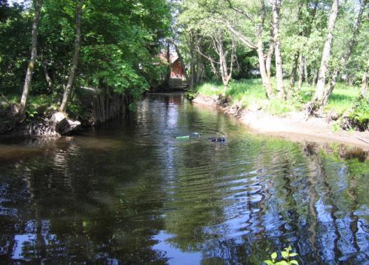 Sträcka 6. Mölndalsån Beskrivning biotop Sträckan avgränsas mot föregående där närmiljön på höger sida ändras från väg till lövskog. Skredärr längs hela sträckan.