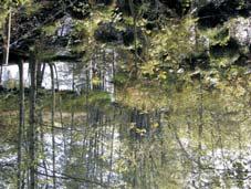 Losjön Losjön är den nedersta sjön i Loåns vattensystem och kommer därmed att sammanfatta vattenkvaliteten i systemet. Vattnet kommer i tre huvudsakliga tillflöden.