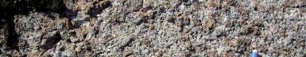 Figure 5-14. Medium- to coarse-grained granite (PSM004100). The fine-grained dioritoid is grey and commonly unequigranular with 3 to 5 mm large megacrysts of hornblende and plagioclase.