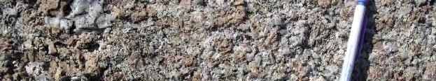 Diorit to gabbro occurs as scattered minor bodies in the Laxemar subarea and immediate surroundings (Appendix 1 and Figure 5-16).