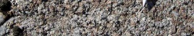 (Appendix 1). Furthermore, diorite to gabbro is also frequently occurring as more or less minor bodies in the northern part and north of the Laxemar subarea.