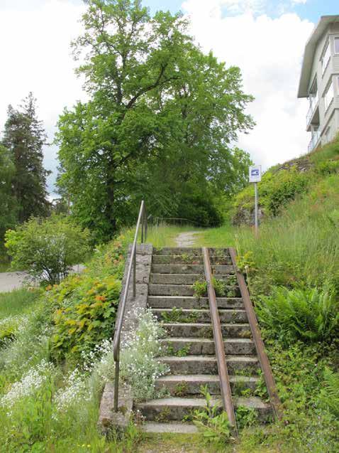 7. EKEKULLEPARKEN STRÖMSLUND Bostadsnära natur Ca 1,2 ha D7/2003 Natur: och naturområde, SVII/1969 Park eller plantering, D2/2006 Natur: naturområde Naturmarken är öppen men med till viss del