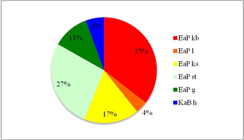 Fig. 22. Diagram över fyndfördelningen i kategorin fynd från städer och stadskyrkor. I denna fyndkontext utgör de låga valörerna, kronbrakteaterna och lebarderna, 39 % av fyndmaterialet.