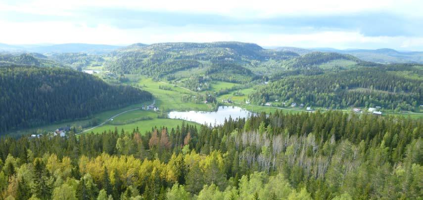 Sveriges geologiska undersökning 2(14) Utöver de insatser som redovisas nedan görs vid SGU även övergripande insatser som i förlängningen leder till positiva effekter på miljömålsarbetet.