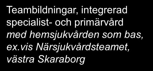 Tre målgrupper i fokus med särskilda beräkningar gruppen svårt sjuka Indikatorer; exempel