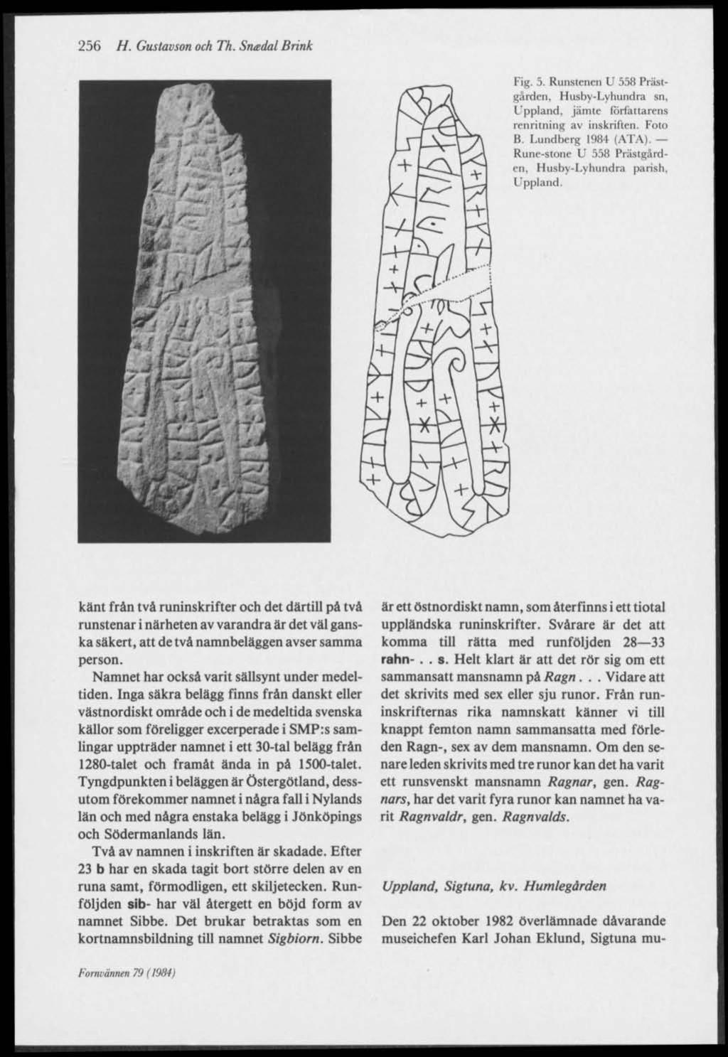 256 H. Gustavson och Th. Sneedal Brink Fig. 5. Runstenen U 558 Prästgärden. Husby-Lyhundra sn, Lppland, jämte författarens renritning av inskriften. Foto B. Lundberg 1984 (ATA).