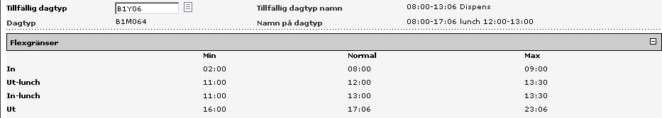 Ta nu namnet på Dagtypen den andra dagen och skriv eller klistra in det i fältet Tillfällig dagtyp på den dag du bytte med.